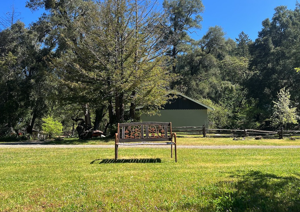 Bench in forefront of cabins